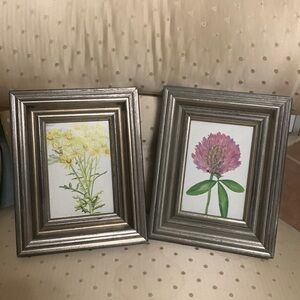 Cute, small framed art of flowers